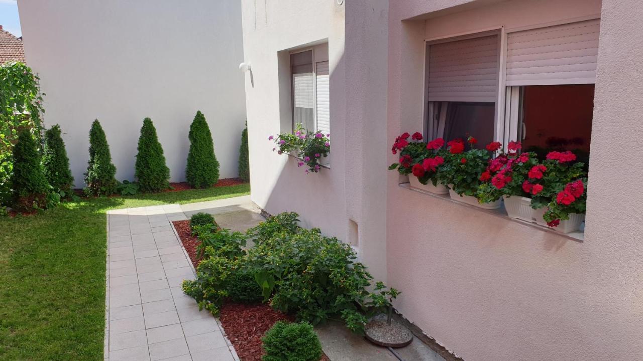 Lovely Private Flats Free Parking Novi Sad Exterior photo